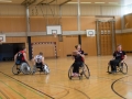 20150530-D71_5552_WEB